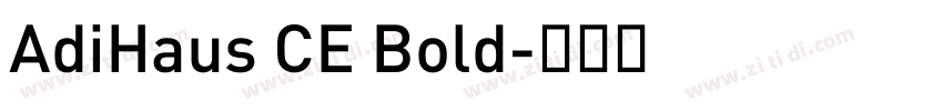 AdiHaus CE Bold字体转换